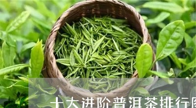 十大进阶普洱茶排行图册/2023082881734