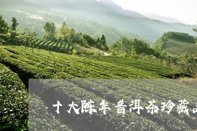 十大陈年普洱茶珍藏品/2023062838595