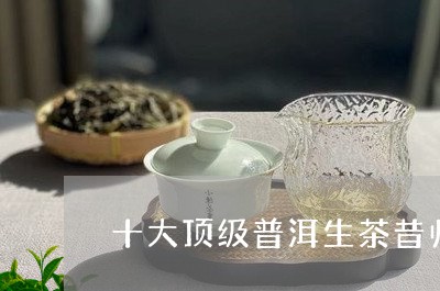 十大顶级普洱生茶昔归/2023061335050