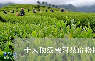 十大顶级普洱茶价格排名榜/2023121512826