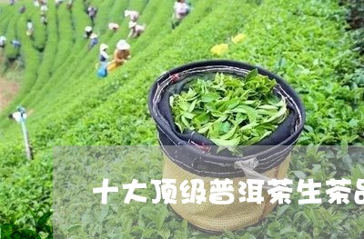 十大顶级普洱茶生茶品牌排行/2023121537179