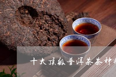 十大顶级普洱茶茶种排名/2023050636272