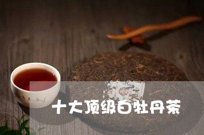 十大顶级白牡丹茶/2023090586160