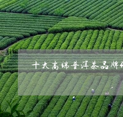 十大高端普洱茶品牌价格/2023081404847