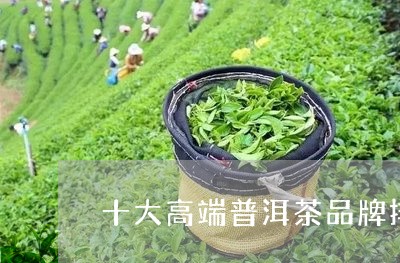 十大高端普洱茶品牌排行榜发布/2023053070725