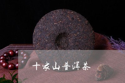 十家山普洱茶/2023090601604