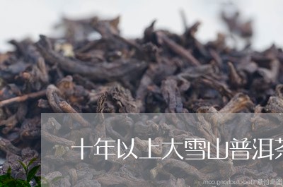 十年以上大雪山普洱茶价格/2023110221937