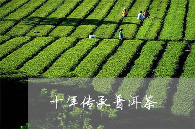 十年传承普洱茶/2023112683825