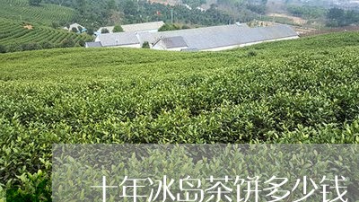 十年冰岛茶饼多少钱/2023042681794