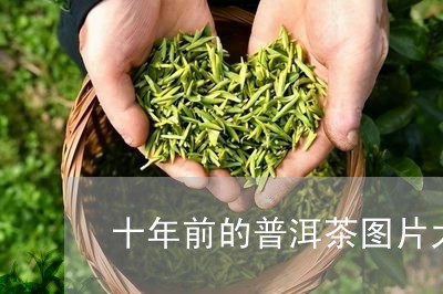 十年前的普洱茶图片大全/2023120785168