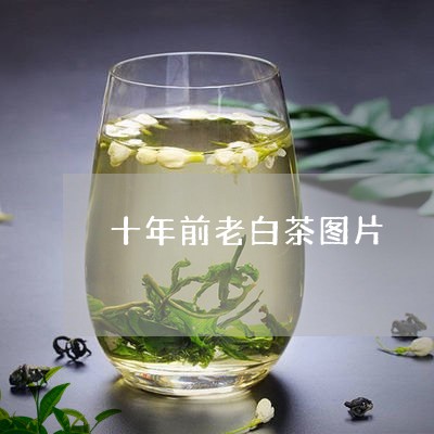 十年前老白茶图片/2023061574939