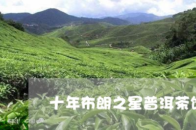 十年布朗之星普洱茶饼/2023072382040