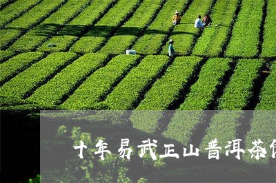 十年易武正山普洱茶饼/2023092681494