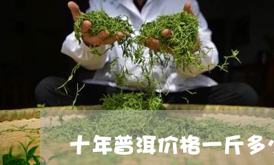 十年普洱价格一斤多少/2023092449692