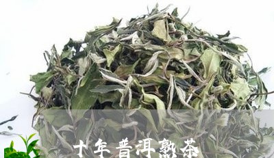 十年普洱熟茶/2023090758381