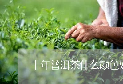 十年普洱茶什么颜色好/2023061773139