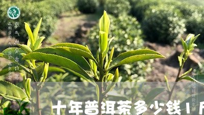 十年普洱茶多少钱1斤/2023072166078