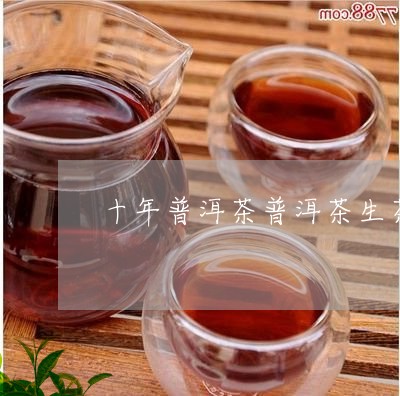 十年普洱茶普洱茶生茶饼价格/2023052703616