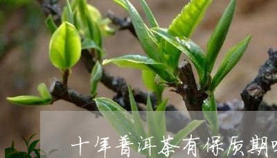 十年普洱茶有保质期吗/2023092541637