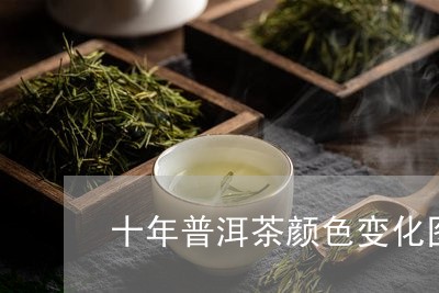 十年普洱茶颜色变化图表/2023121584935