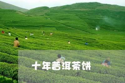 十年普洱茶饼/2023042989317