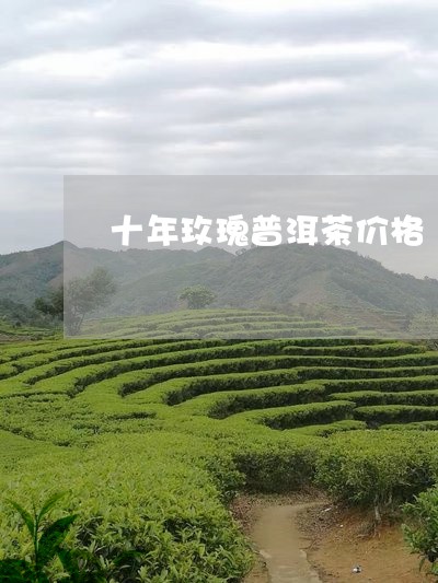 十年玫瑰普洱茶价格/2023120535957