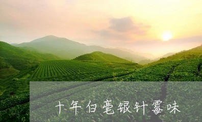 十年白毫银针霉味/2023061537492