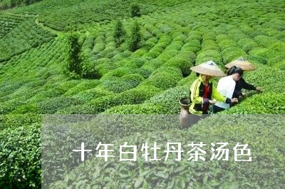 十年白牡丹茶汤色/2023090527371