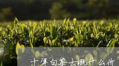 十年白茶大概什么价/2023071559693