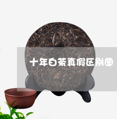 十年白茶真假区别图/2023071582035