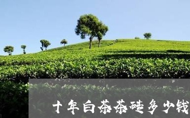 十年白茶茶砖多少钱/2023071549583