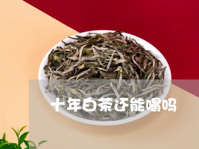 十年白茶还能喝吗/2023061581804