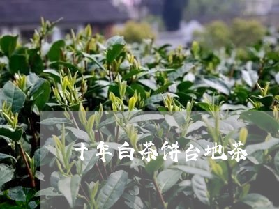 十年白茶饼台地茶/2023061528382