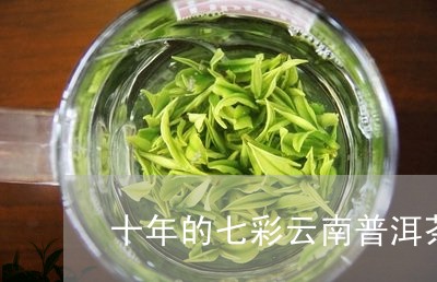 十年的七彩云南普洱茶/2023061494137