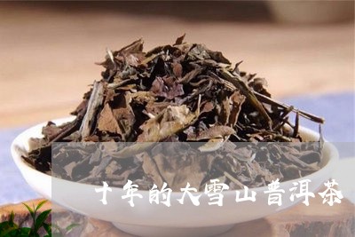 十年的大雪山普洱茶/2023042900383