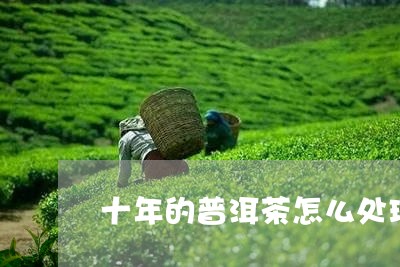 十年的普洱茶怎么处理/2023092738351