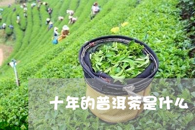 十年的普洱茶是什么/2023120456480