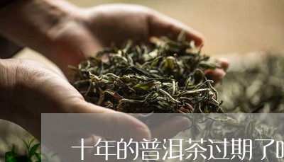 十年的普洱茶过期了吗/2023092894947