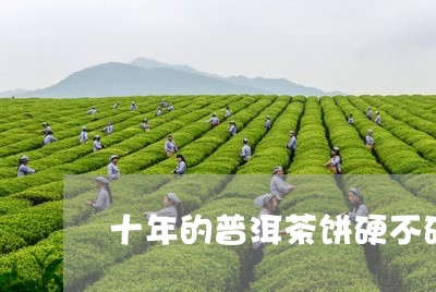 十年的普洱茶饼硬不硬/2023092598605