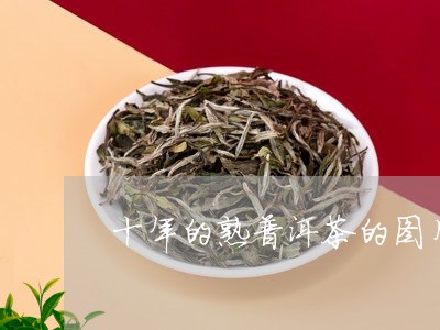 十年的熟普洱茶的图片/2023061577190