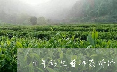 十年的生普洱茶饼价格查询/2023051006480