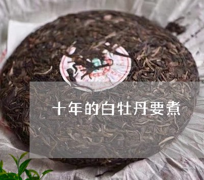 十年的白牡丹要煮/2023090528592