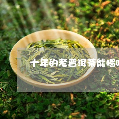 十年的老普洱茶能喝吗好喝吗/2023121508502