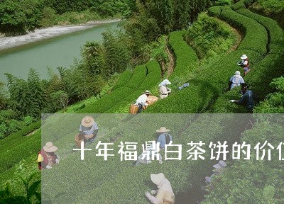 十年福鼎白茶饼的价值/2023091516141