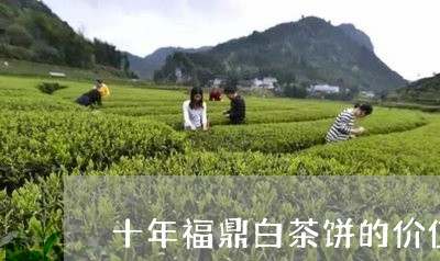 十年福鼎白茶饼的价值/2023120744259