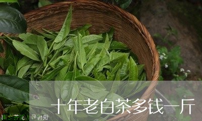 十年老白茶多钱一斤/2023071637351