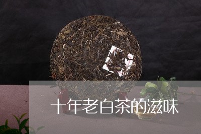 十年老白茶的滋味/2023061528693