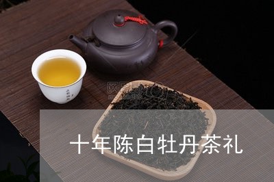 十年陈白牡丹茶礼/2023090595038