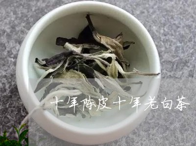 十年陈皮十年老白茶/2023071567514