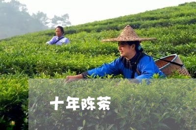 十年陈茶/2023110973907